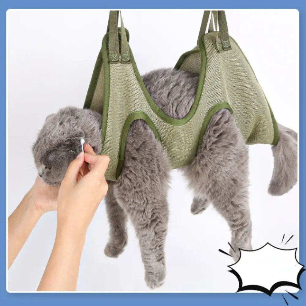 Chats - 🛁 Sac Spa Hamac Chat - Toilettage Zen et Sécurisé Yellow Pandora