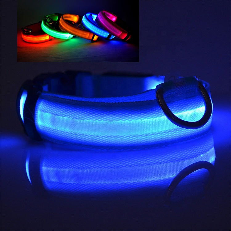 Chiens-Collier LED Chien Rechargeable USB - Sécurité et Visibilité Nocturne Teal Zeus