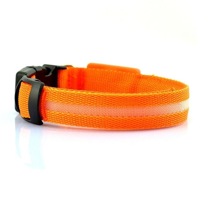 Chiens-Collier LED Chien Rechargeable USB - Sécurité et Visibilité Nocturne Teal Zeus