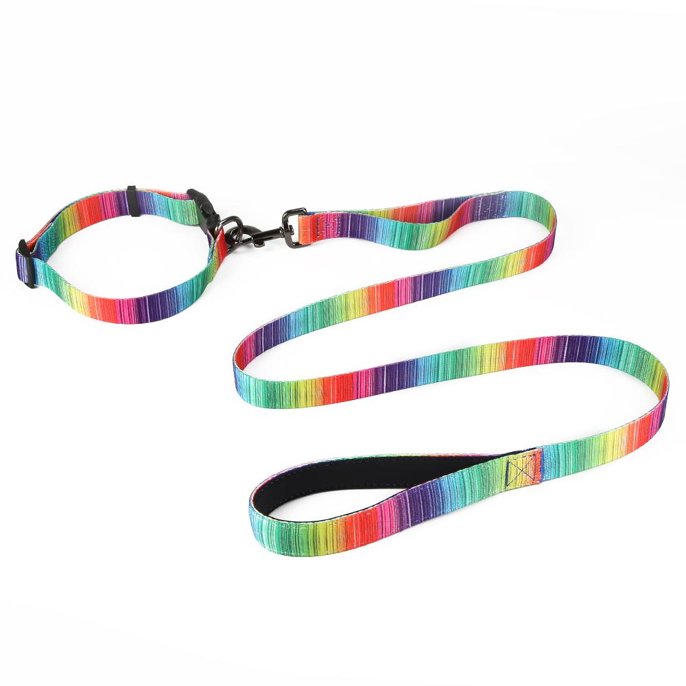 Set Assorti Collier & Laisse - Ensemble Chic & Coordonné Tan Cress