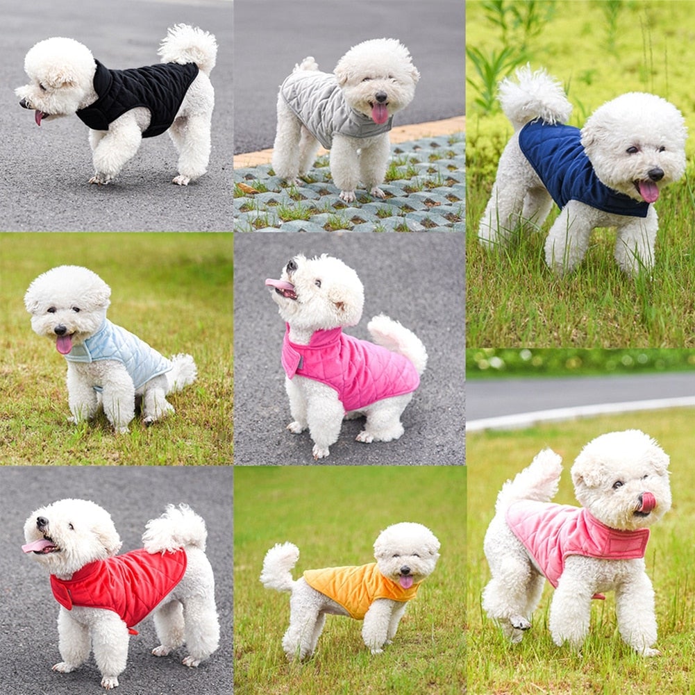 Chiens-🐾 Gilet d'Hiver Chaud pour Chiens - Protection Thermique Premium Yellow Pandora