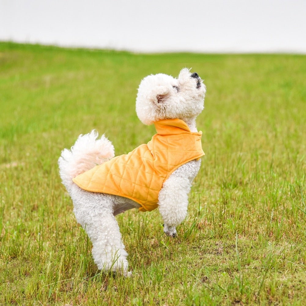 Chiens-🐾 Gilet d'Hiver Chaud pour Chiens - Protection Thermique Premium Yellow Pandora