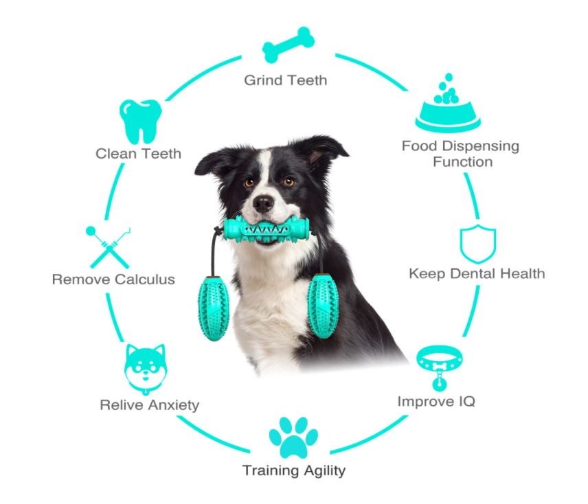 Chiens-Os Dentaires à Mâcher - Hygiène et Plaisir Garantis" Maroon Asteria
