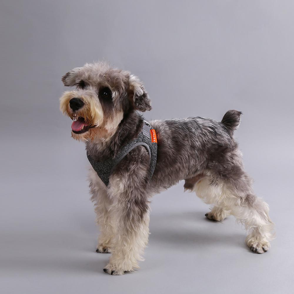 Harnais PETKIT Air Pro - Confort Ultime & Style Premium pour Chien ✨🐕 Sky Blue Arachne