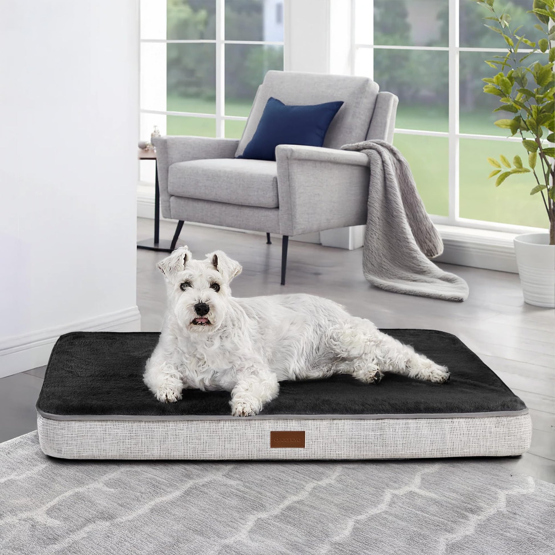 Chiens-Lit Orthopédique pour Chien avec Housse Lavable, Gris Foncé" Purple Oliver