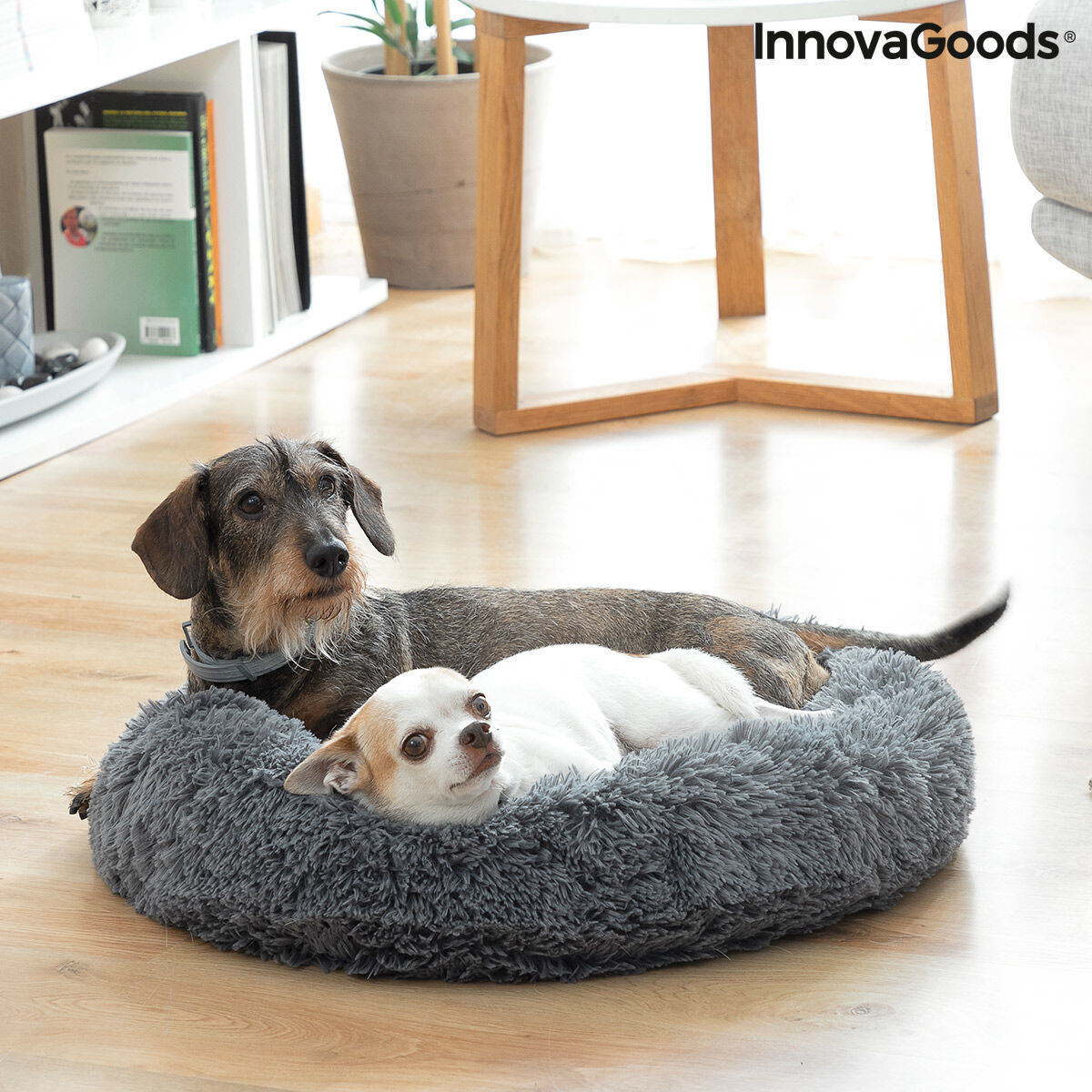 Chiens-Cocon de Luxe Anti-Stress Bepess - Le Spa de Votre Compagnon Ø 60 cm Bigbuy