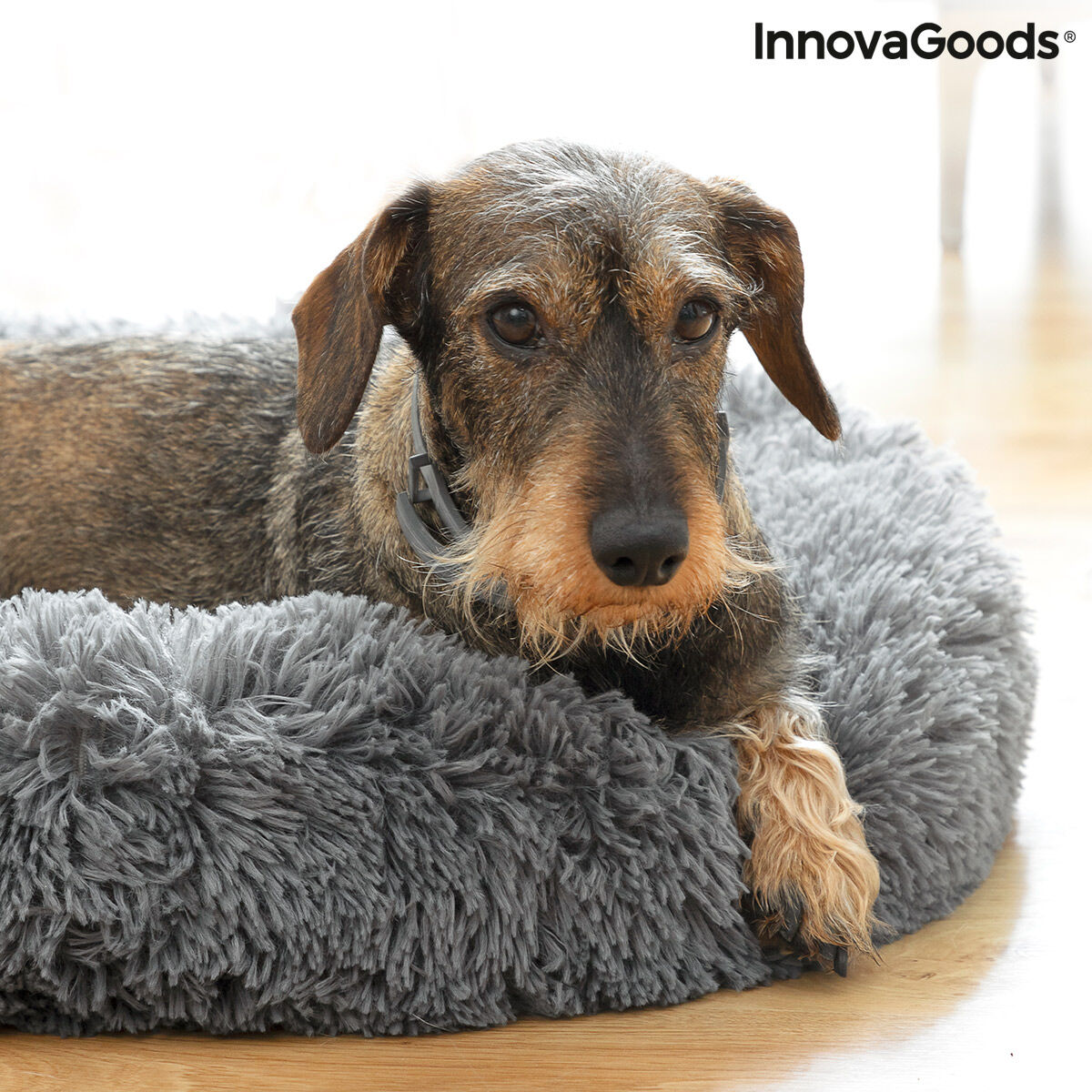 Chiens-Cocon de Luxe Anti-Stress Bepess - Le Spa de Votre Compagnon Ø 60 cm Bigbuy