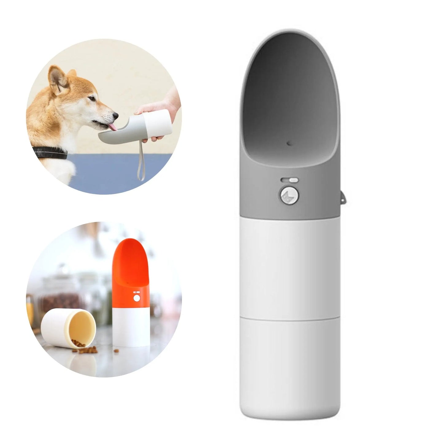 Chiens💧 Bouteille Voyage Rover - L'Hydratation Nomade Premium Sky Blue Arachne