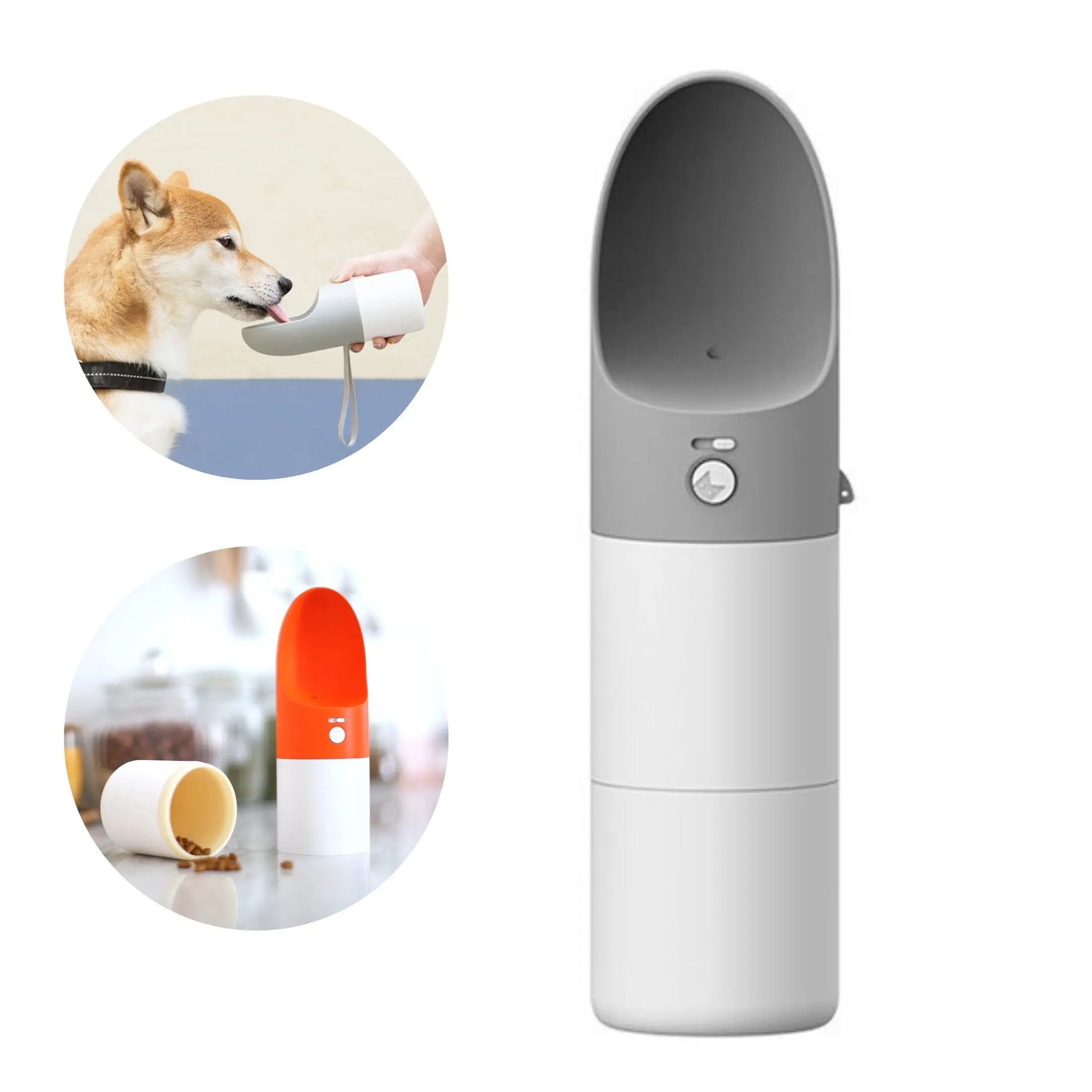 Chiens💧 Bouteille Voyage Rover - L'Hydratation Nomade Premium Sky Blue Arachne