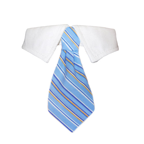 Chiens-Col Chemise Kyle - Style Universitaire Chic & Cravate Bleue Lime Aeneas