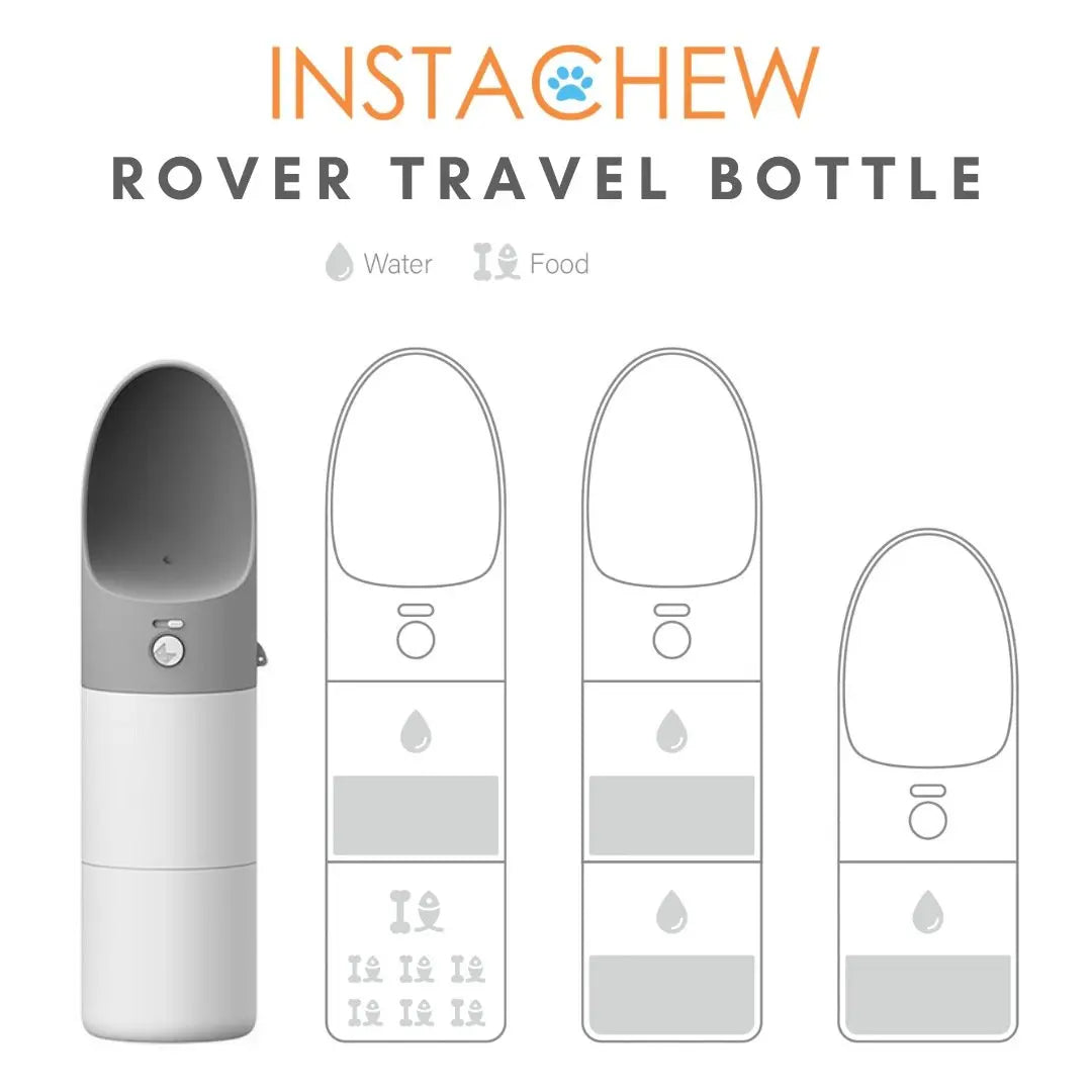 Chiens💧 Bouteille Voyage Rover - L'Hydratation Nomade Premium Sky Blue Arachne