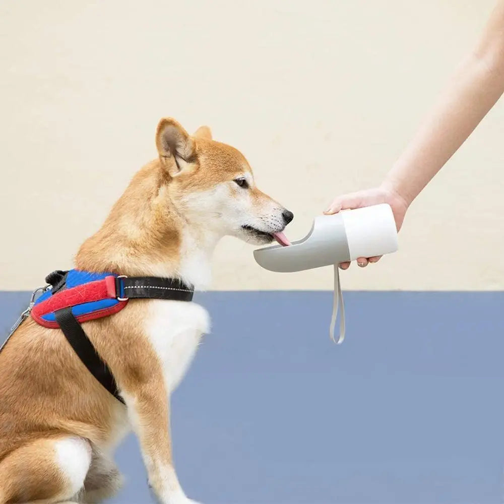 Chiens💧 Bouteille Voyage Rover - L'Hydratation Nomade Premium Sky Blue Arachne