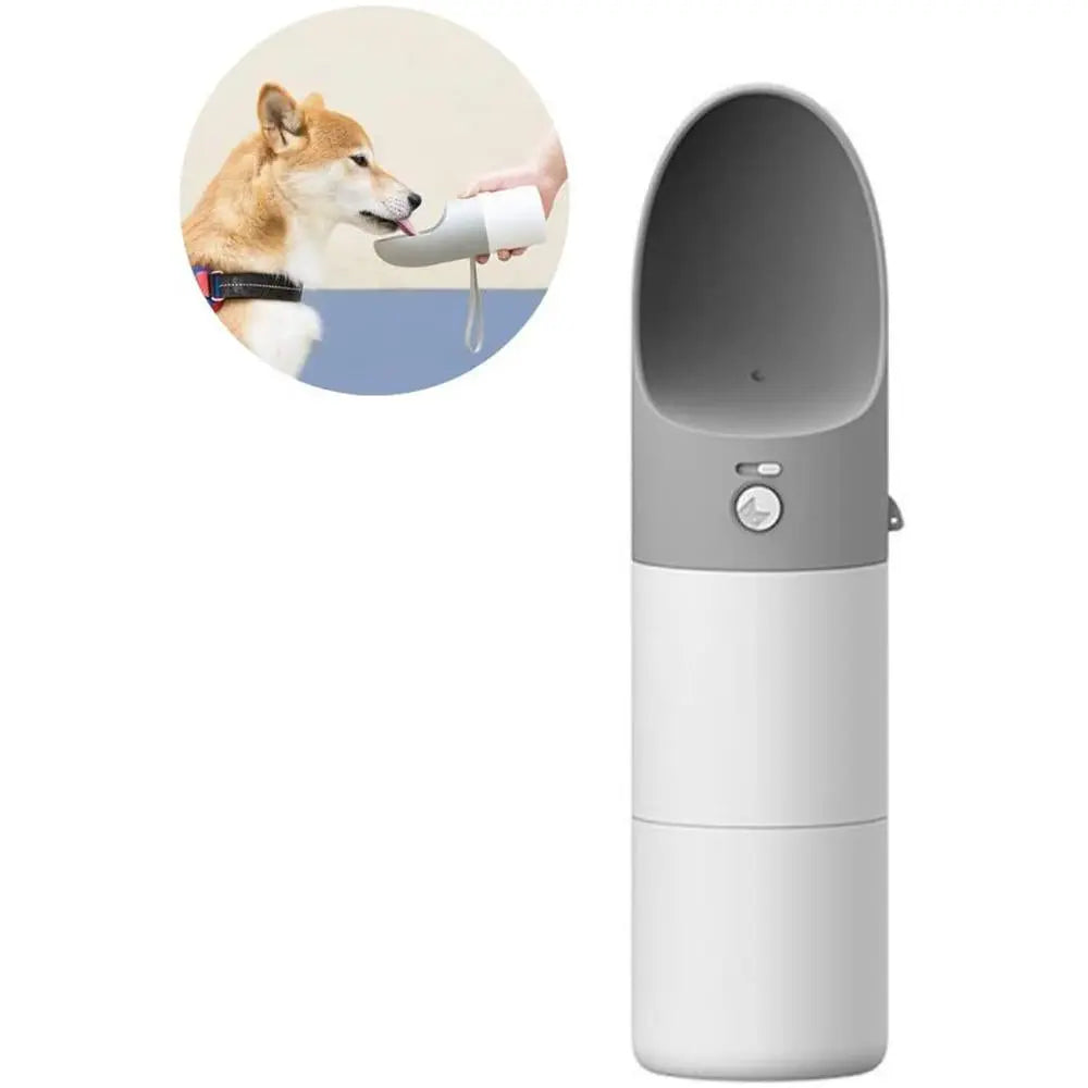 Chiens💧 Bouteille Voyage Rover - L'Hydratation Nomade Premium Sky Blue Arachne
