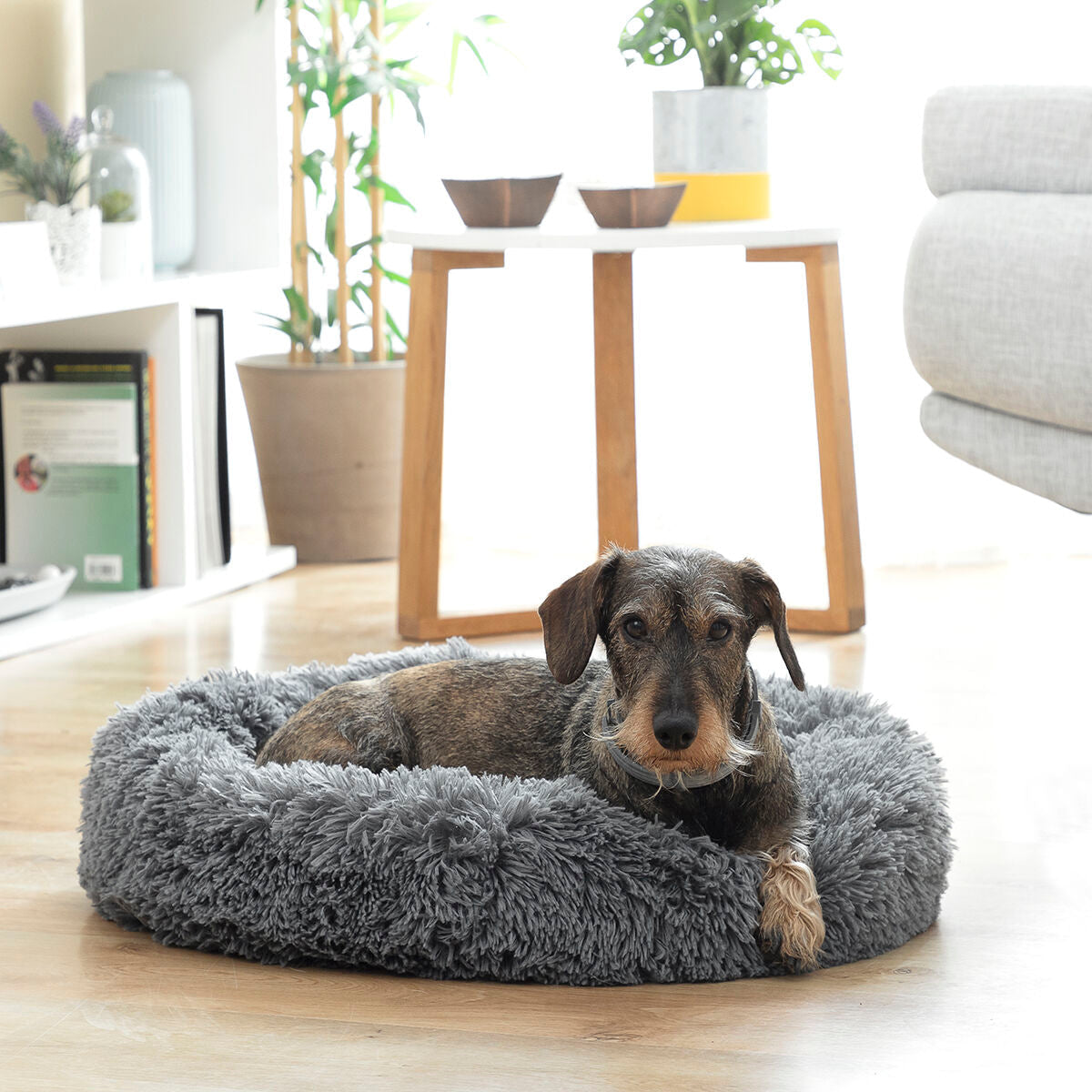 Chiens-Cocon de Luxe Anti-Stress Bepess - Le Spa de Votre Compagnon Ø 60 cm Bigbuy