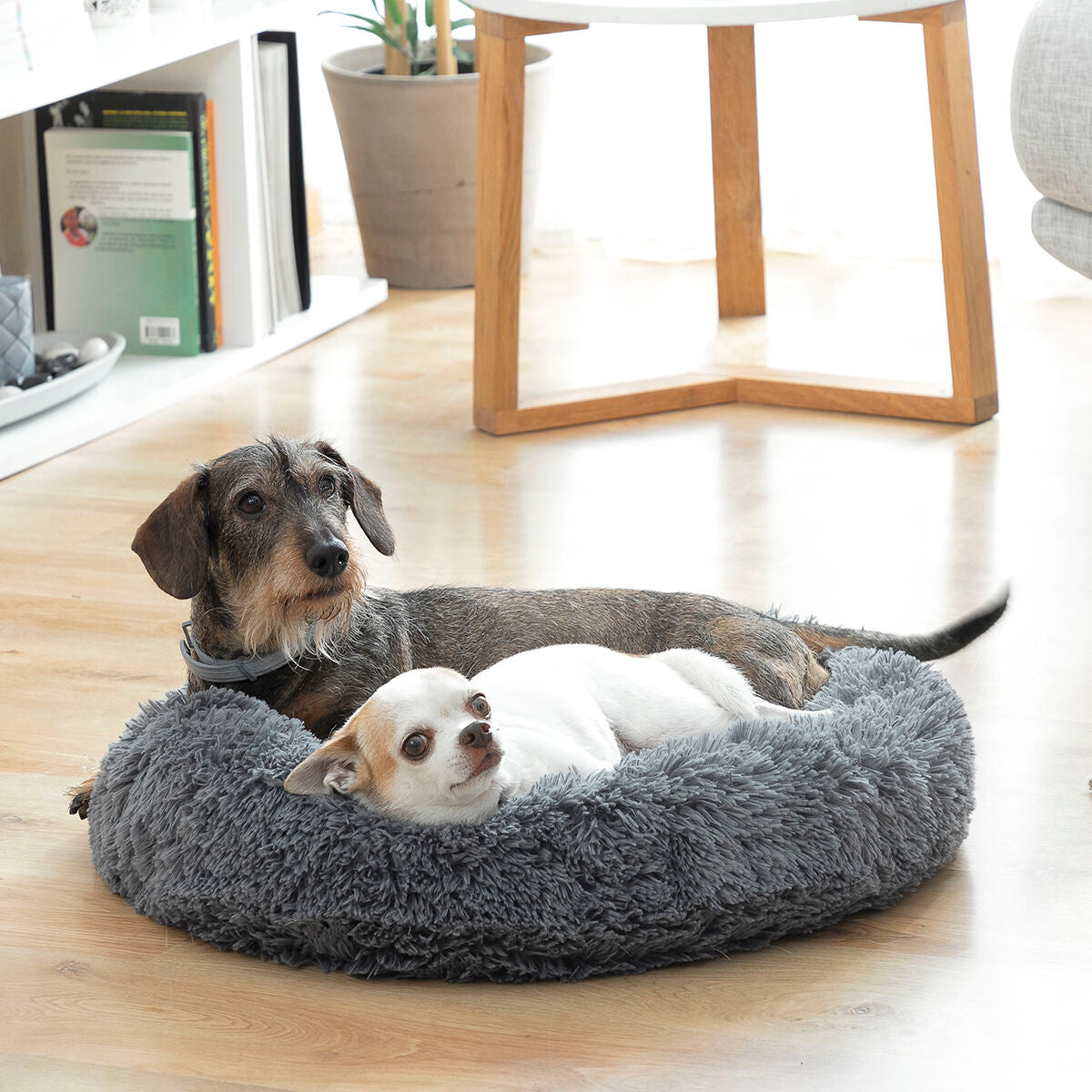 Chiens-Cocon de Luxe Anti-Stress Bepess - Le Spa de Votre Compagnon Ø 60 cm Bigbuy