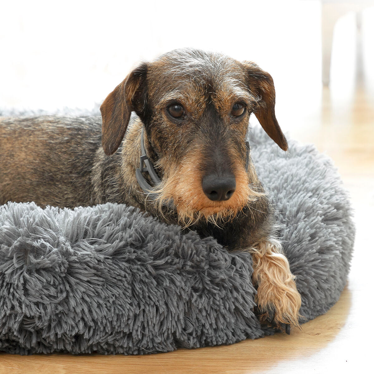 Chiens-Cocon de Luxe Anti-Stress Bepess - Le Spa de Votre Compagnon Ø 60 cm Bigbuy