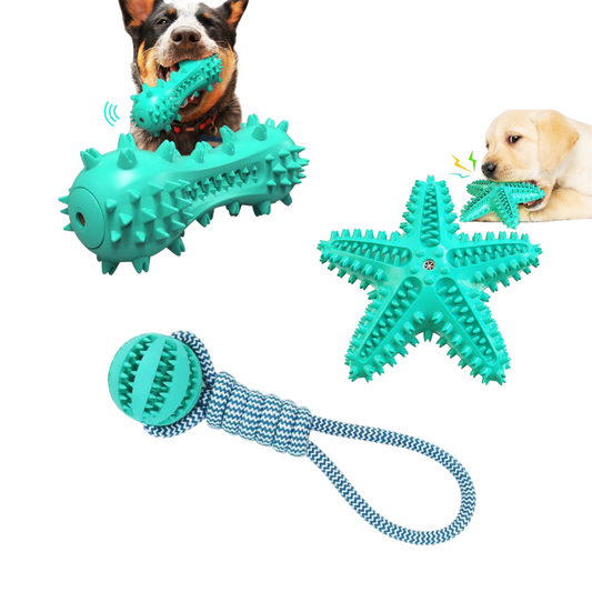 Chiens🐾 Lot de 3 Jouets pour chiens – Balle corde + jouet brosse à dents Teal Zeus