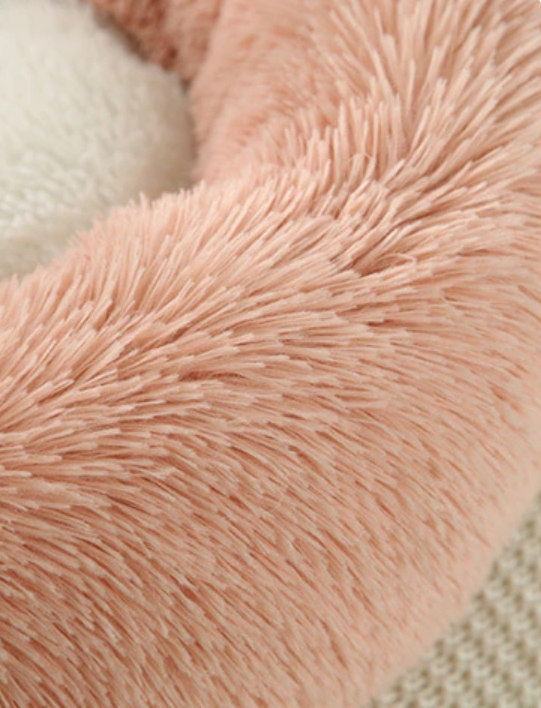 🐾 Lit Peluche avec Oreilles et Queue - Chats et Petits Chiens Teal Zeus