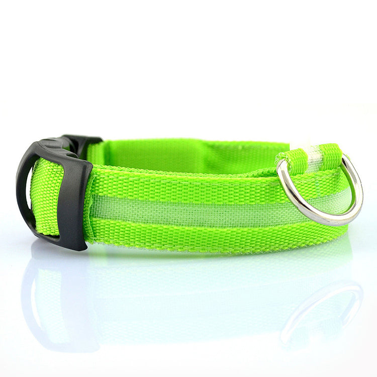 Chiens-Collier LED Chien Rechargeable USB - Sécurité et Visibilité Nocturne Teal Zeus