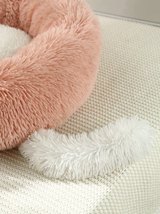 🐾 Lit Peluche avec Oreilles et Queue - Chats et Petits Chiens Teal Zeus