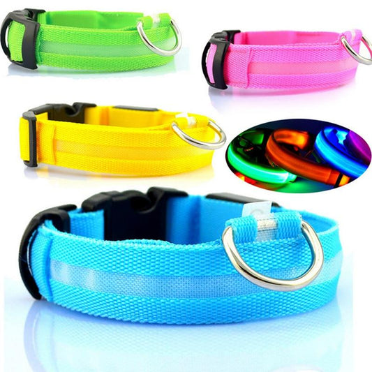 Chiens-Collier LED Chien Rechargeable USB - Sécurité et Visibilité Nocturne Teal Zeus