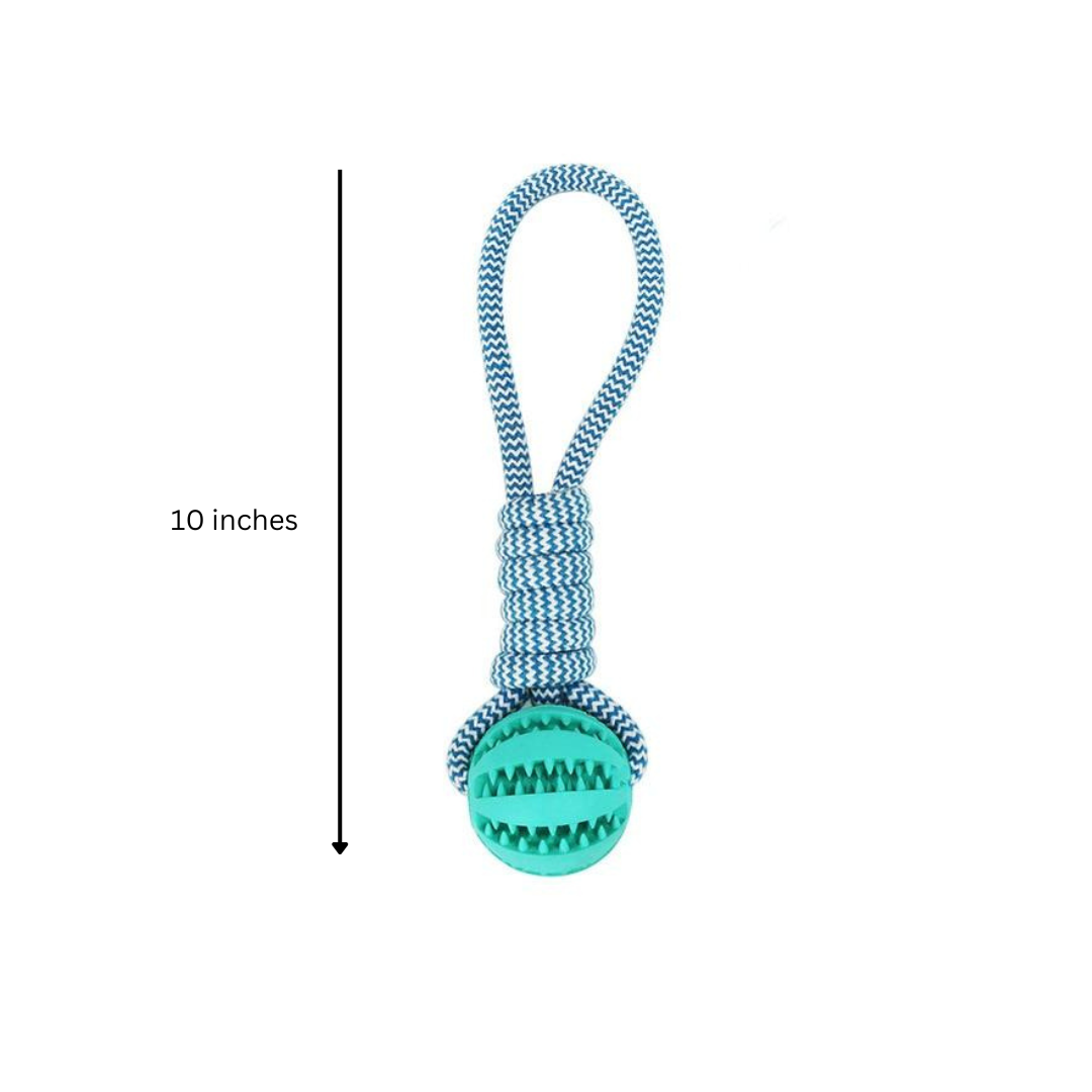 Chiens🐾 Lot de 3 Jouets pour chiens – Balle corde + jouet brosse à dents Teal Zeus