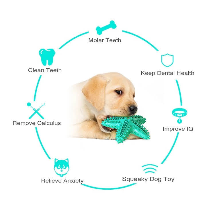 Chiens🐾 Lot de 3 Jouets pour chiens – Balle corde + jouet brosse à dents Teal Zeus