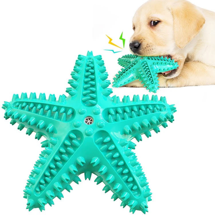 Chiens🐾 Lot de 3 Jouets pour chiens – Balle corde + jouet brosse à dents Teal Zeus
