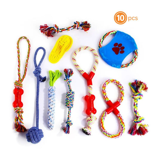 Chats🐾 Lot de 10 Jouets Corde Tressée - Assortiment Premium Chiens Teal Zeus