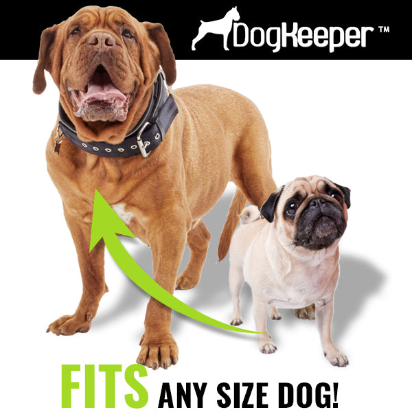 DogKeeper - Organisateur Premium pour Accessoires Chien