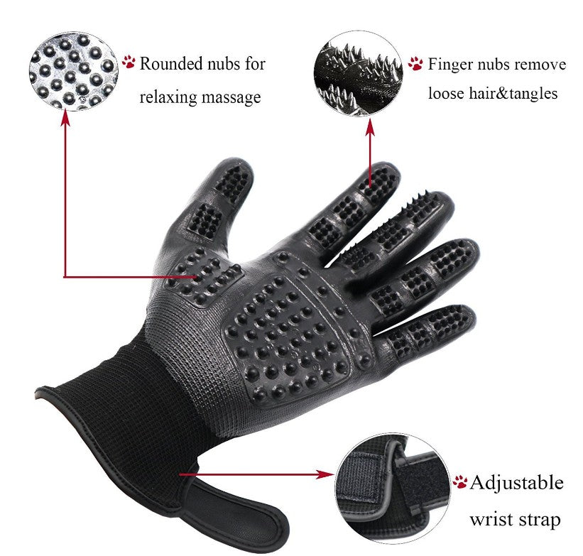 Gants de Toilettage Premium (Paire) - Livraison Rapide Garantie Teal Zeus