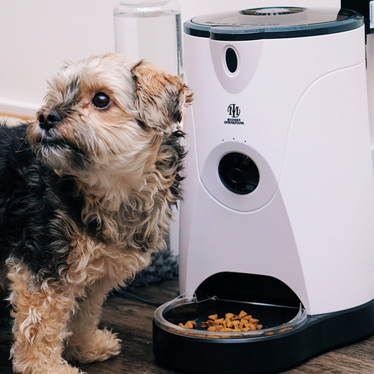 Distributeur WiFi Connecté pour Animaux - Technologie Premium 🐾📱 Pink Trillium