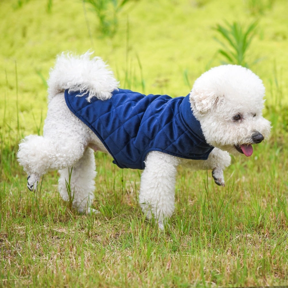 Chiens-🐾 Gilet d'Hiver Chaud pour Chiens - Protection Thermique Premium Yellow Pandora