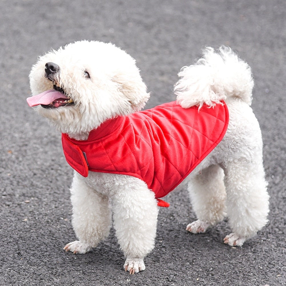 Chiens-🐾 Gilet d'Hiver Chaud pour Chiens - Protection Thermique Premium Yellow Pandora